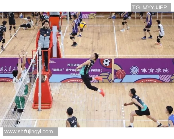 专业解读：成都排球队的节奏打法