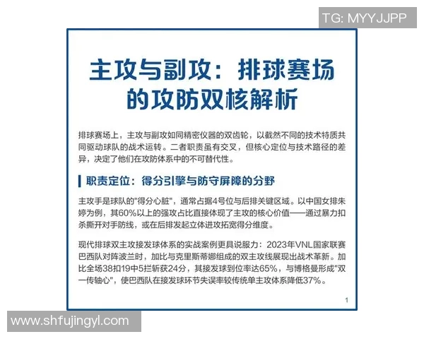 深圳排球队的整体压制打法深度分析与战术解析