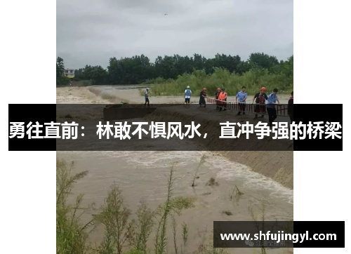 勇往直前：林敢不惧风水，直冲争强的桥梁