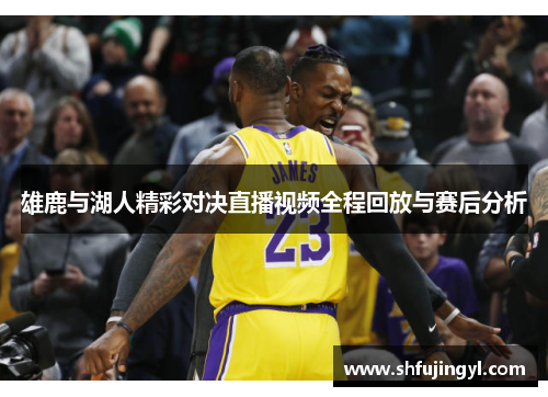 雄鹿与湖人精彩对决直播视频全程回放与赛后分析